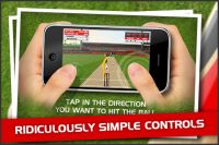 Stick Cricket