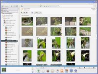 Picasa
