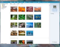 Windows Live Photo Gallery