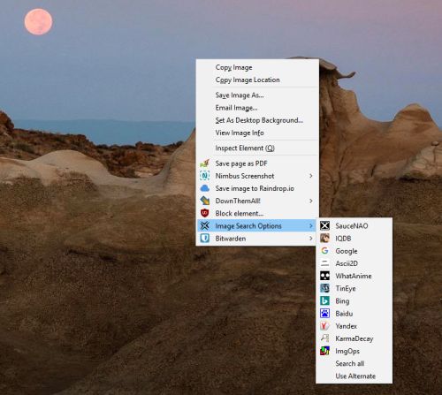 Image Search Options screenshot
