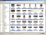 WildBit Thumbnail View