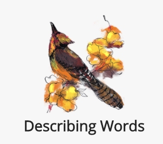 Describingwords service