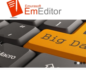 EmEditor