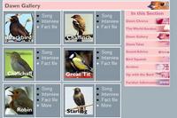 bbc birdsong dawn chorus gallery