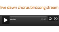 birsdong radio online