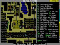 Dwarf Fortress