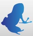 Vuze-frog-image