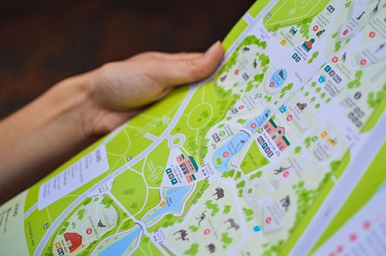 person holding map