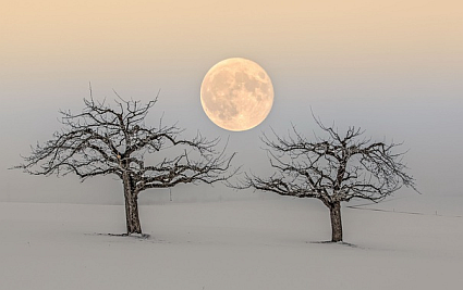 Full moon in winter