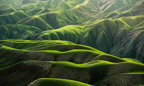 Hills covered in grass in China