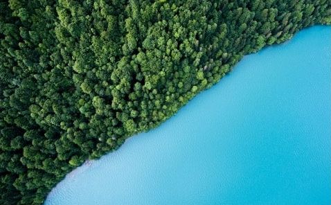 Shoreline Lake Brienz, Switzerland