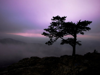 Ravens Roost Overlook Virginia USA