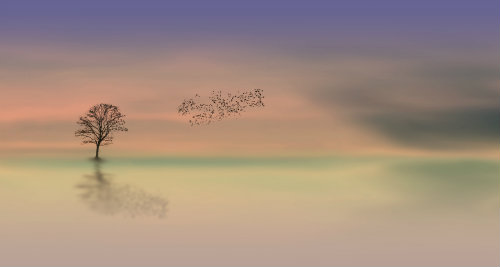 Single tree in water with flock of birds flying