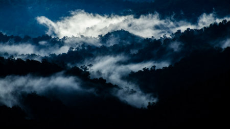 Early morning mist over Valparai, Tamil Nadu