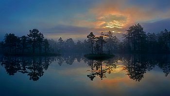 Wetland in Västmanland, Sweden