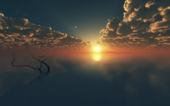 Sunset over lake with dead tree