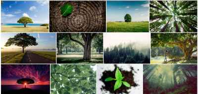 Pexels photo library