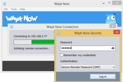 WaykNow remote support tool