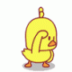 kendall's Avatar