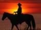 MidnightCowboy's Avatar