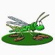wdhpr's Avatar