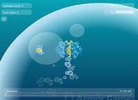 bubble tanks 3